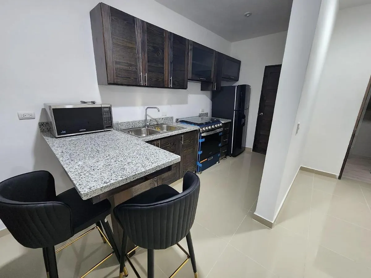 Chelsie 2 Apartment Bayahibe 0*,